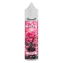 Printemps - Les 4 saisons