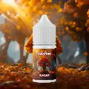 Concentré Automne - Les 4 Saisons